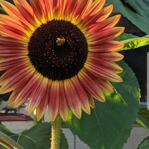 FREE SHIPPING 3 item minimum BUNDLE